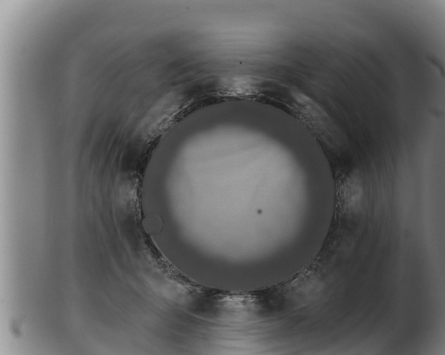 X0000103230415200809041029
