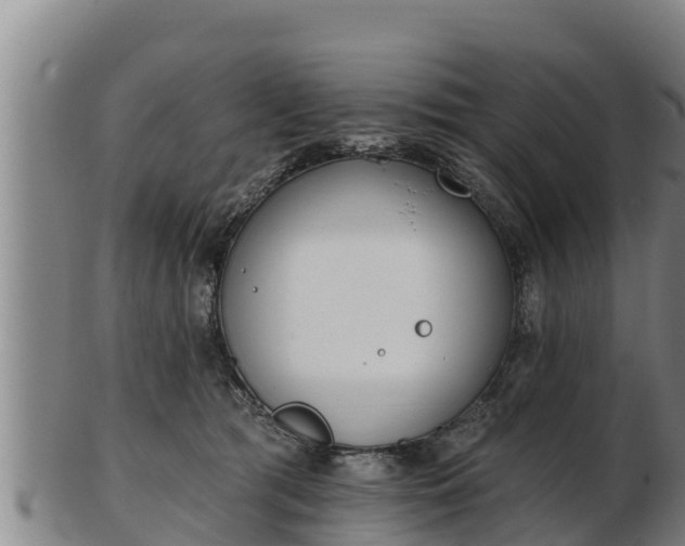 X0000103230417200809041029