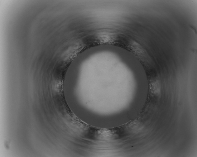 X0000103230419200809041029