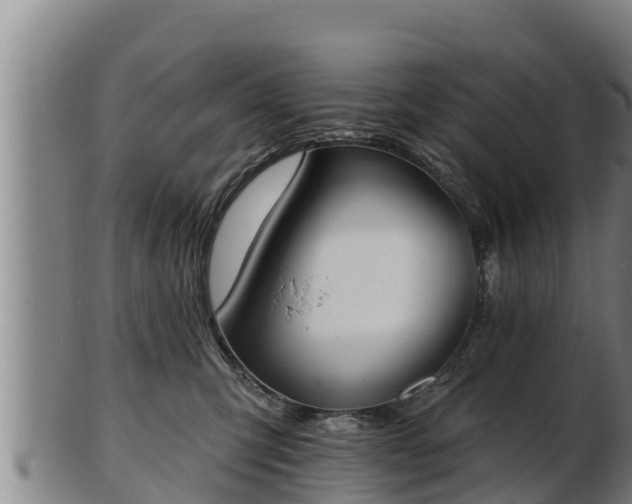 X0000103230423200809041029
