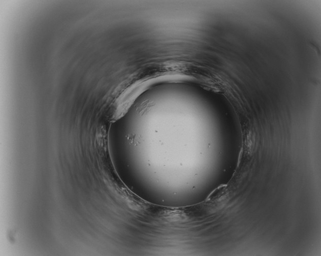 X0000103230424200809041029