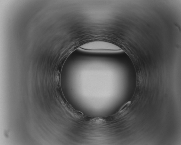 X0000103230427200809041029