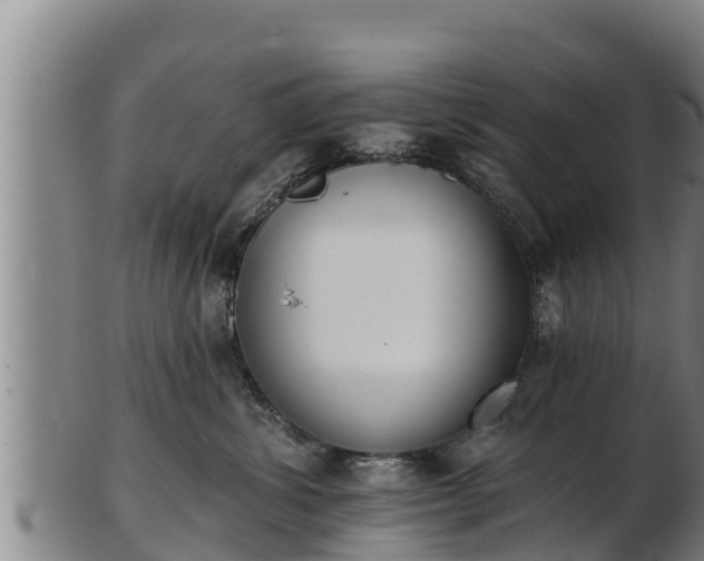 X0000103230428200809041029