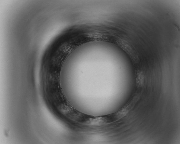 X0000103230430200809041029