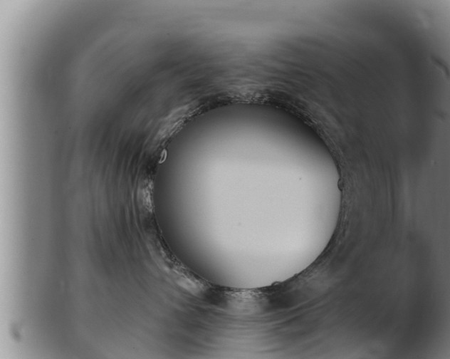 X0000103230432200809041029