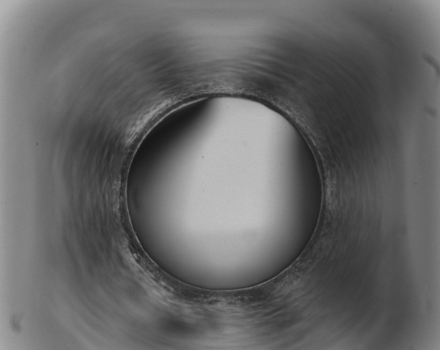 X0000103230434200809041028