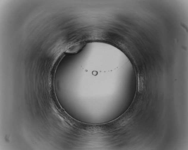 X0000103230435200809041028