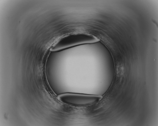 X0000103230436200809041028