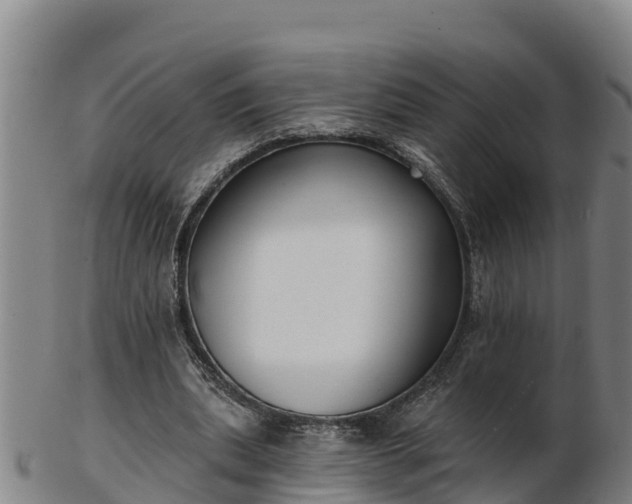 X0000103230439200809041028