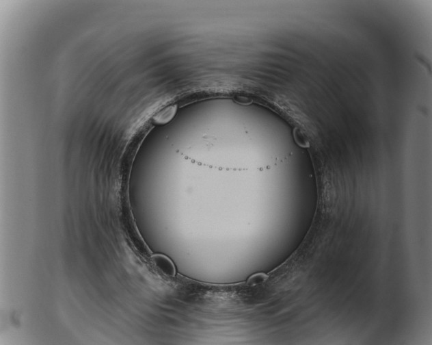 X0000103230440200809041028