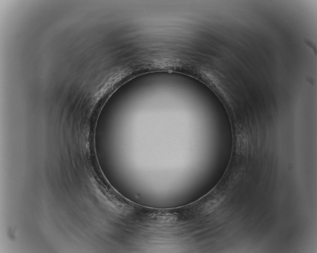 X0000103230443200809041028