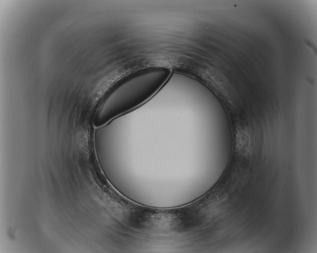 X0000103230444200809041028