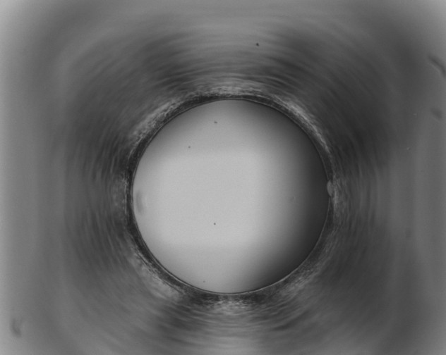 X0000103230445200809041028