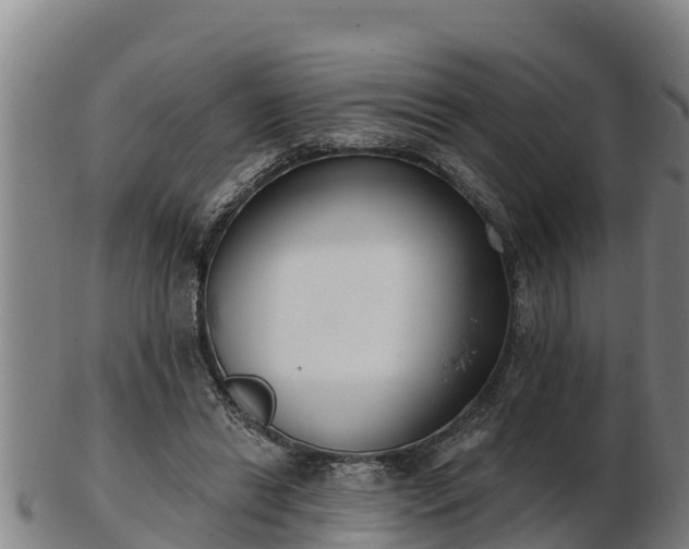 X0000103230446200809041028