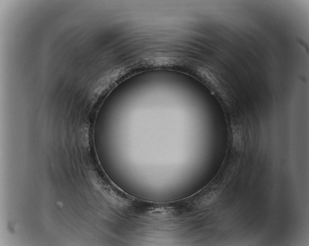 X0000103230447200809041028