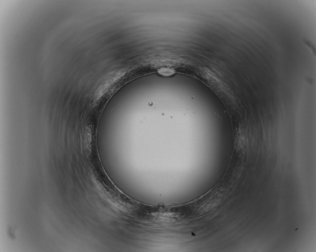 X0000103230448200809041028