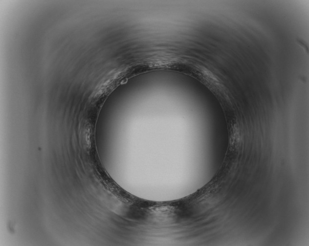 X0000103230452200809041028