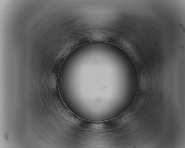 X0000103230457200809041028