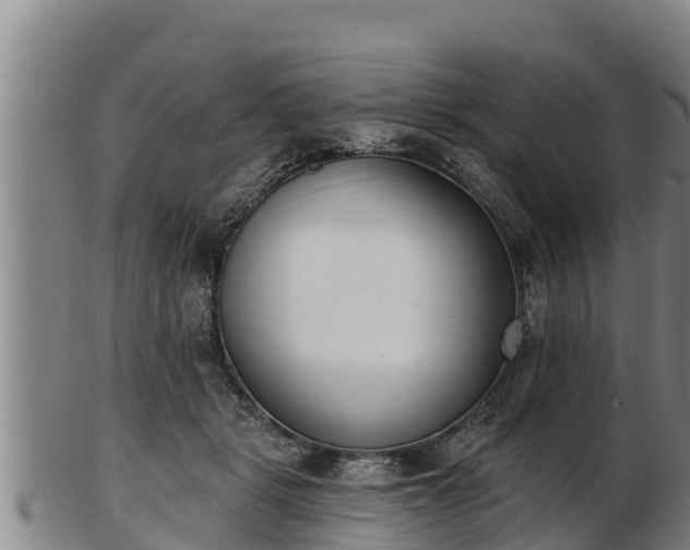 X0000103230461200809041028