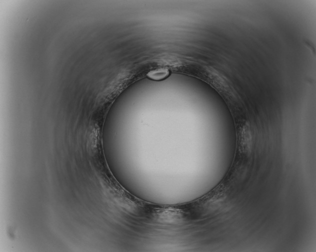 X0000103230463200809041028