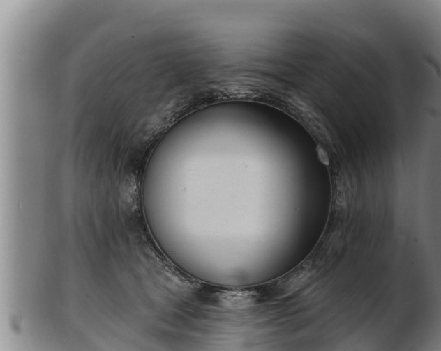 X0000103230465200809041028