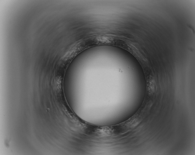 X0000103230466200809041028