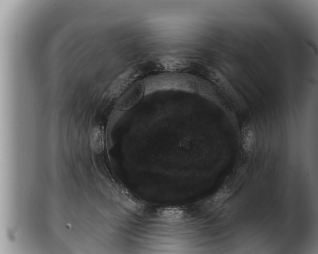 X0000103230471200809041029