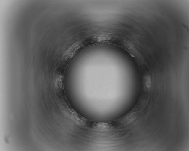 X0000103230475200809041029