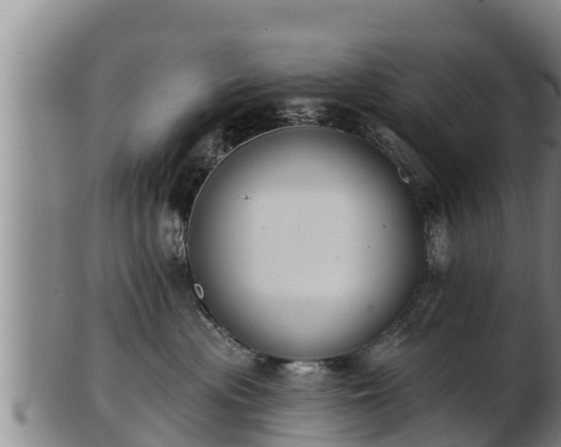 X0000103230477200809041029