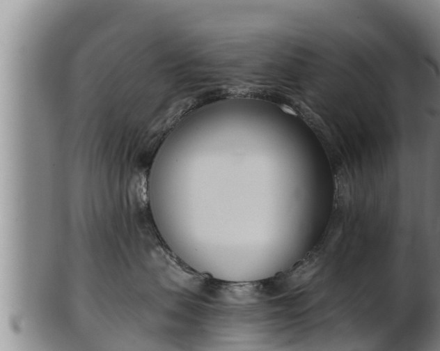 X0000103230479200809041029