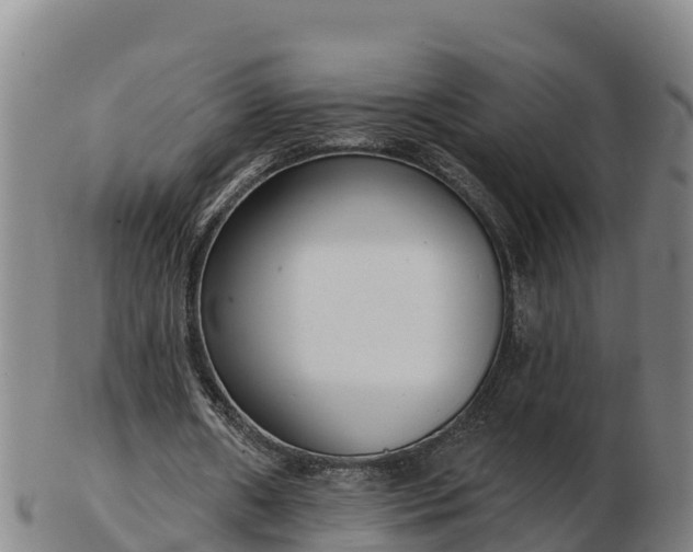 X0000103230482200809041028