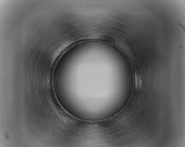 X0000103230483200809041028