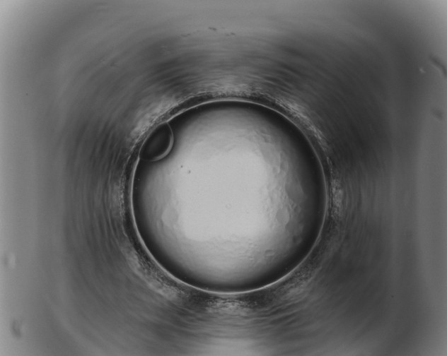 X0000103230487200809041028