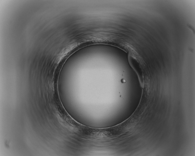 X0000103230488200809041028