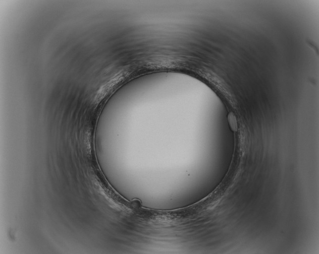 X0000103230489200809041028