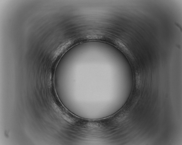 X0000103230490200809041028