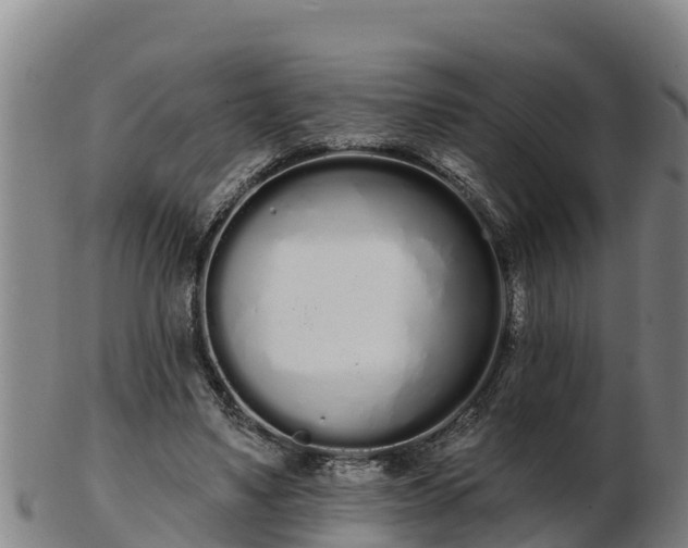 X0000103230491200809041028