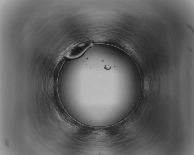 X0000103230492200809041028