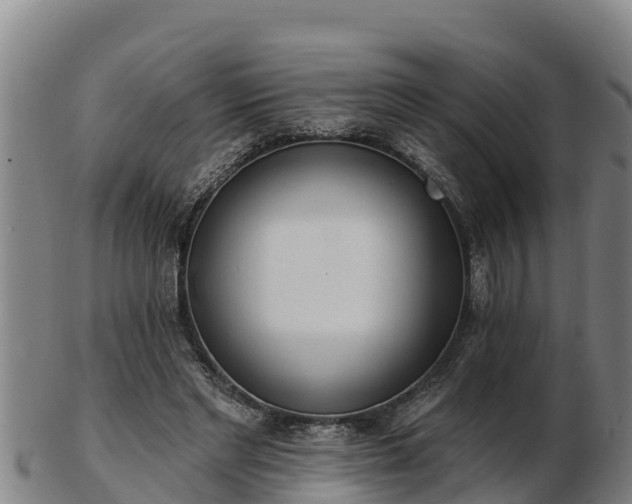 X0000103230493200809041028
