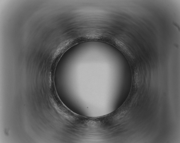 X0000103230494200809041028