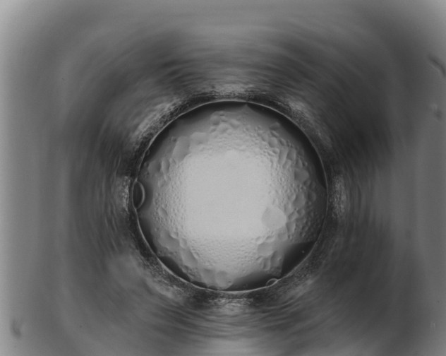 X0000103230495200809041028