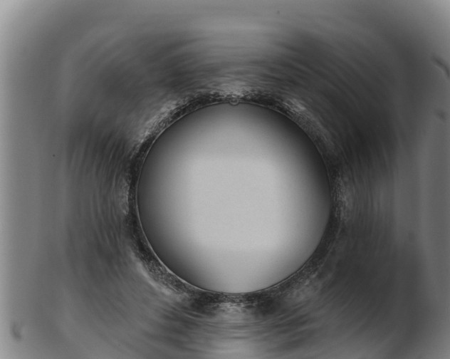 X0000103230496200809041028