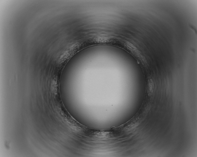 X0000103230497200809041028