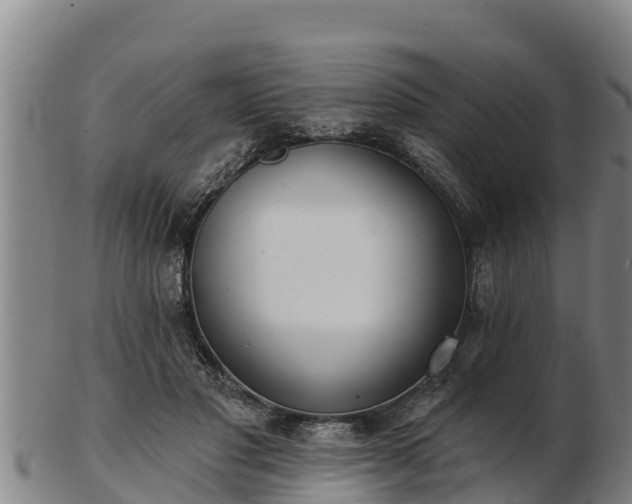X0000103230501200809041028
