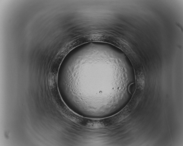 X0000103230503200809041028