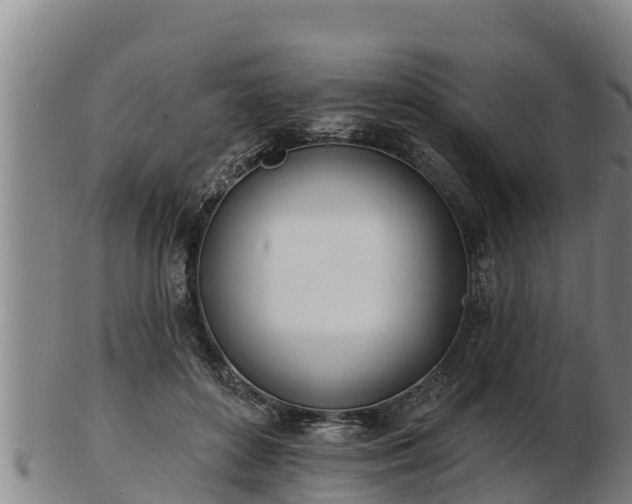 X0000103230504200809041028