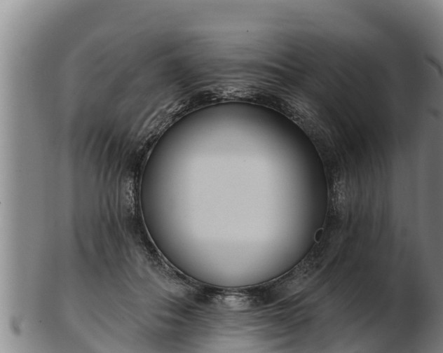 X0000103230506200809041027