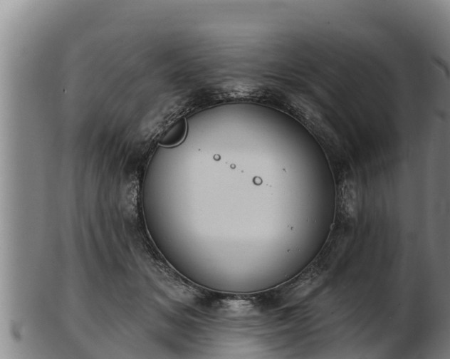 X0000103230509200809041027