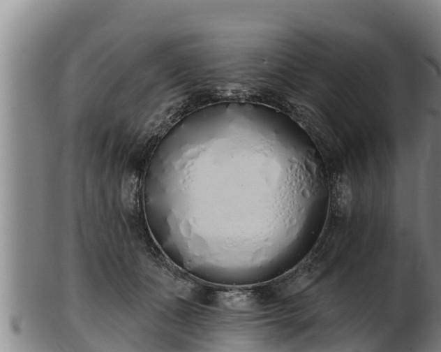 X0000103230511200809041027
