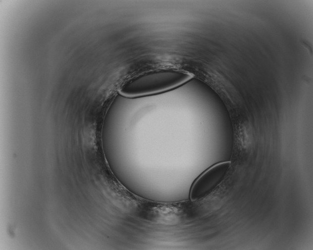 X0000103230512200809041027